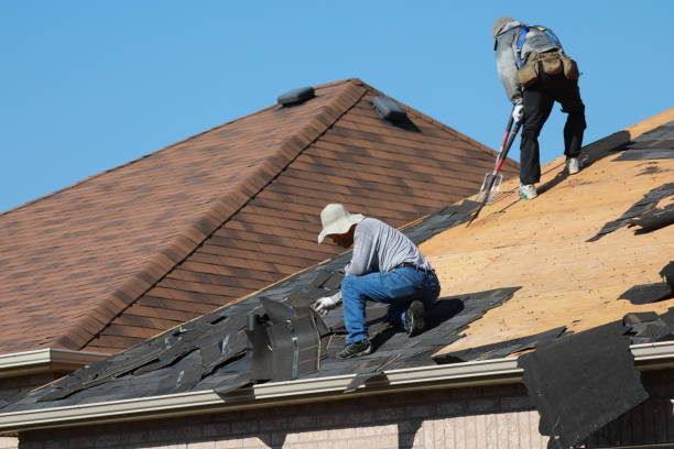 Best Roof Insulation Installation  in Orange Cove, CA