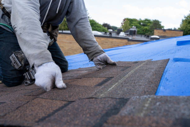 Roof Coating Services in Orange Cove, CA